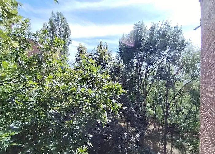 Apartman Lola Ruza