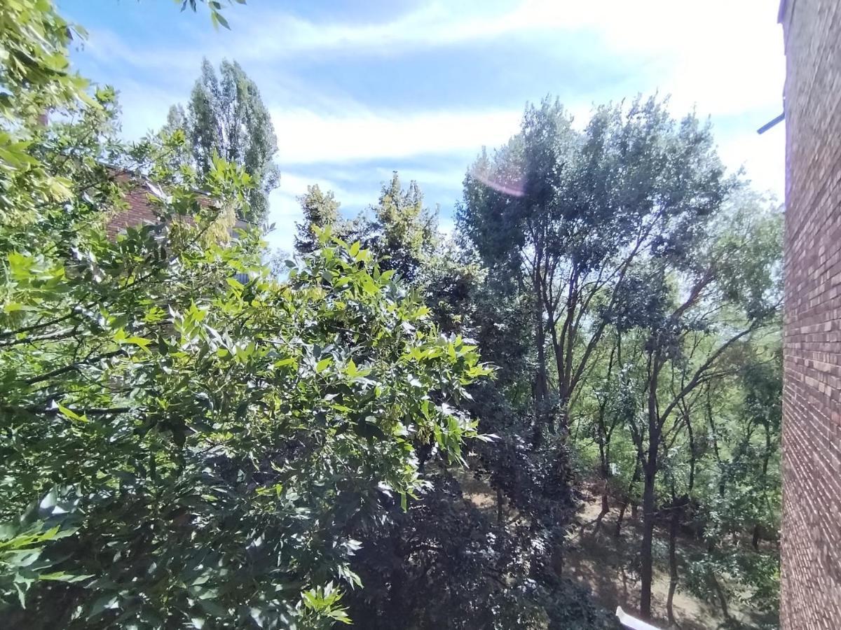 Apartment Lola Ruza *