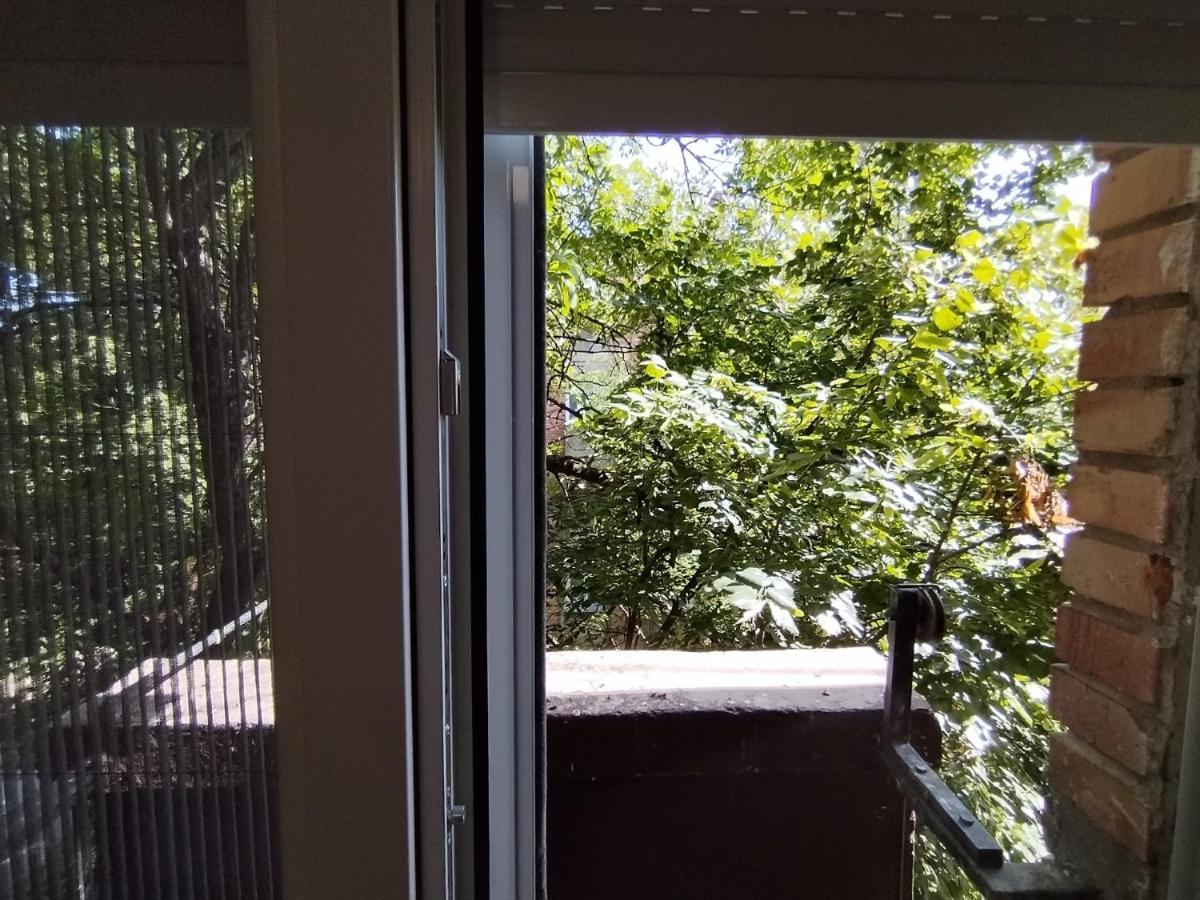 Lola Ruza Apartment Zrenjanin